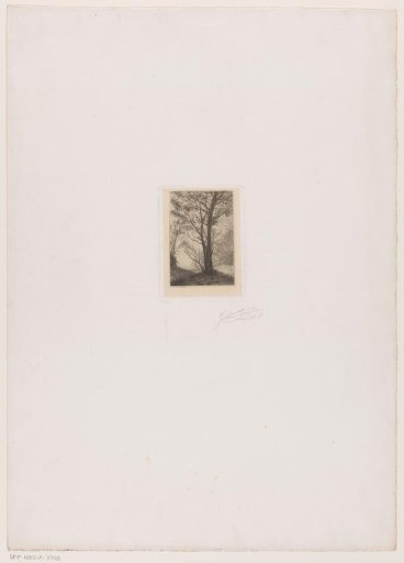 Hilly landscape with trees