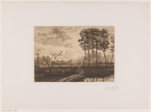 Landscape with a row of birches