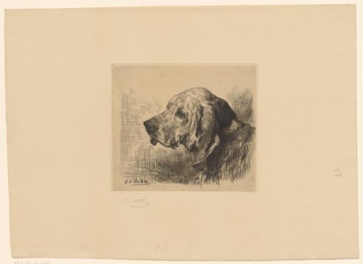 Dog's Head