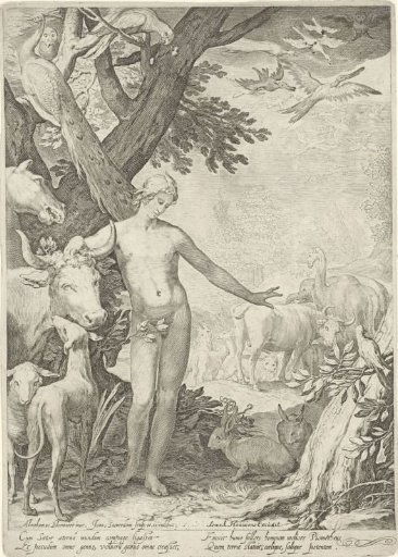 Adam gives the animals names