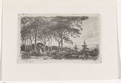 Woman by a row of trees