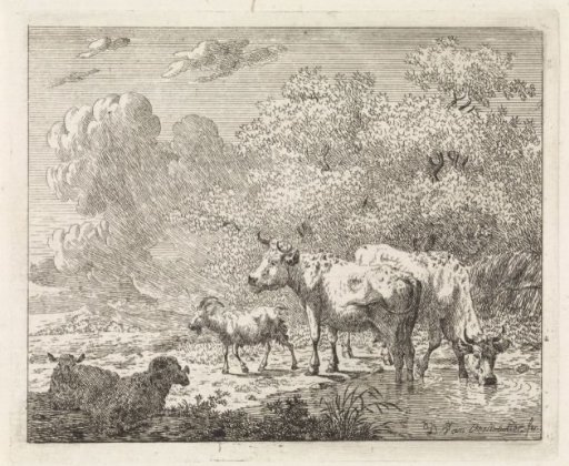 Landscape with sheep, goat and cows