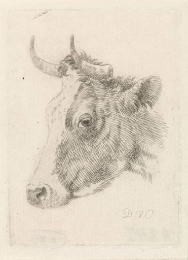 Head of a bull