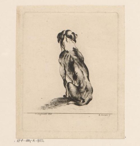 Sitting dog seen from behind