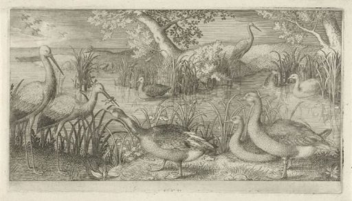 Waterfowl by a pond