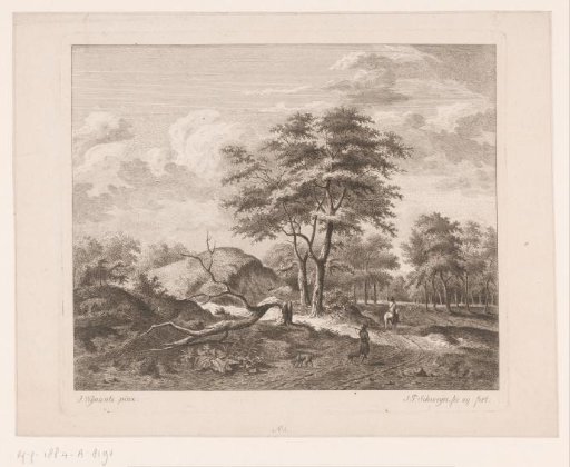 Forest Landscape