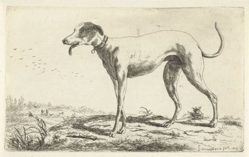 Hound Diana