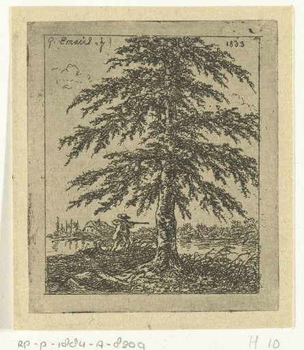 Landscape with beech and hunter
