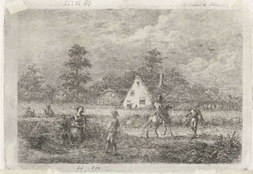 Horseman in a harvest field