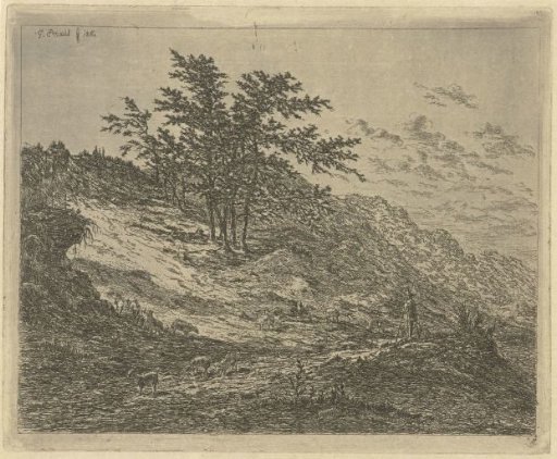 Shepherd in a hilly heath landscape