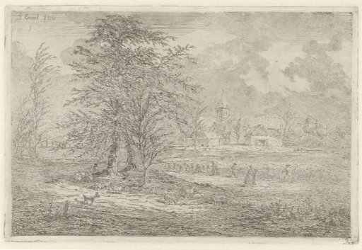 Shepherd at a cornfield