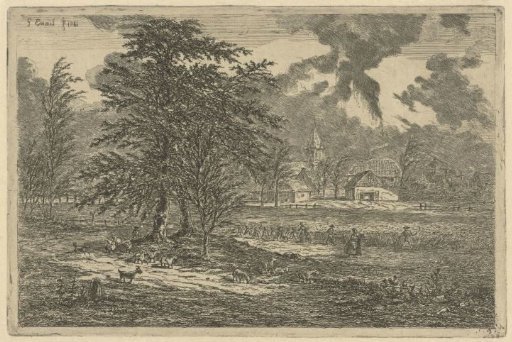 Shepherd at a cornfield
