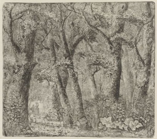 Forest View