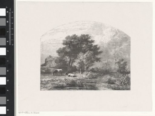 Landscape with a Ditch