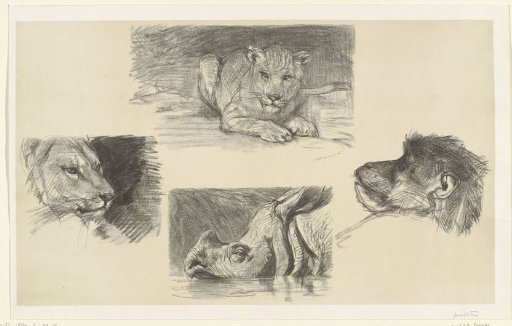 Four animals