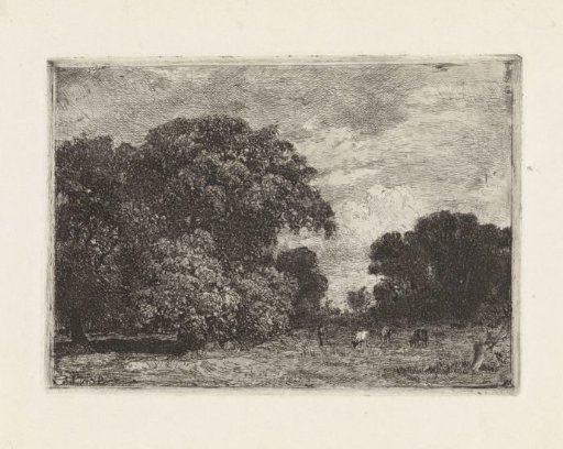 Landscape with trees and three grazing cows