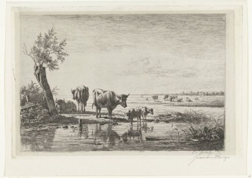 Pastoral landscape with cows by water