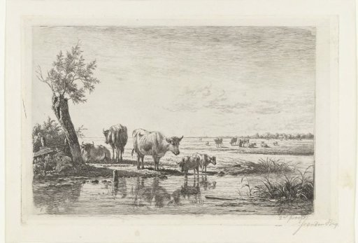 Pastoral landscape with cows by water