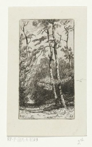 Landscape with birch trees