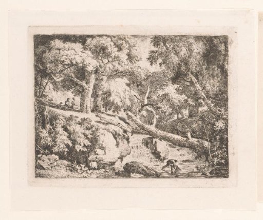 Landscape with a tree trunk over a waterfall