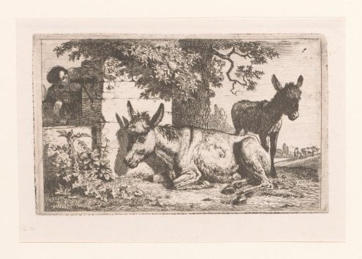 Two donkeys and a woman by a water pump
