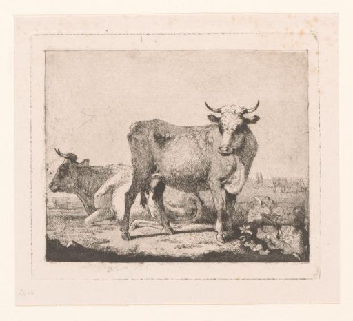 Cows in the landscape