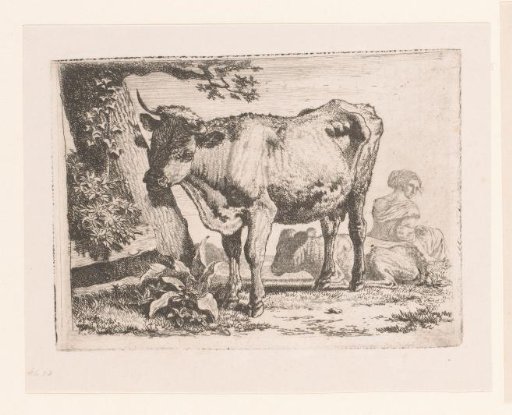 Woman sitting by a cow and her calf