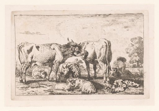 Herd of cattle with two cows licking each other