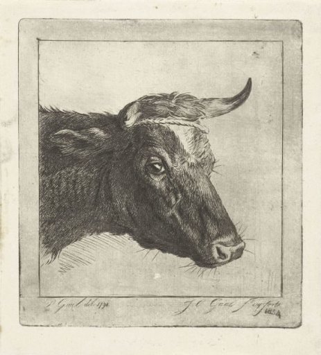 Head of a Cow with a Rope Around the Horns