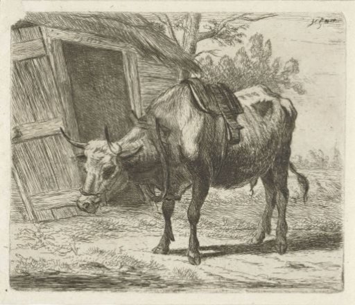 Ox with yoke before the stable