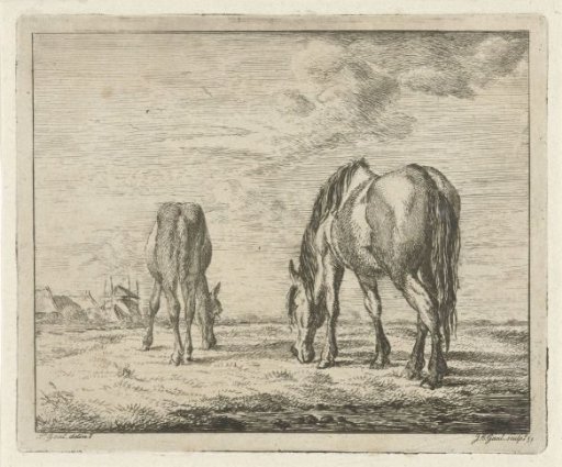 Two grazing horses