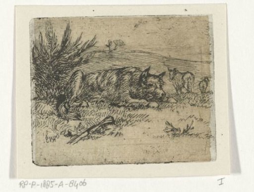 Lying shepherd dog