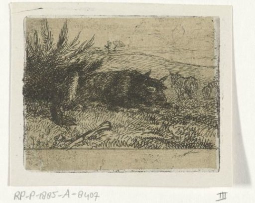 Lying shepherd dog