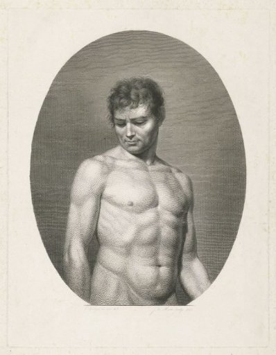 Male nude