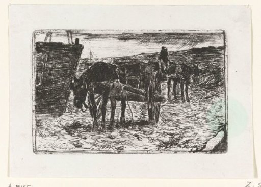Carts on the Beach