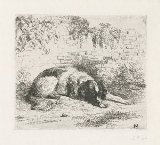 Lying Dog in Front of a Low Wall