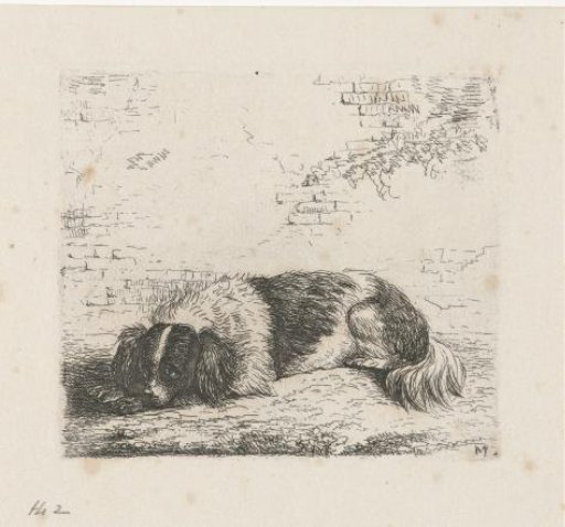 Lying Dog Facing Left