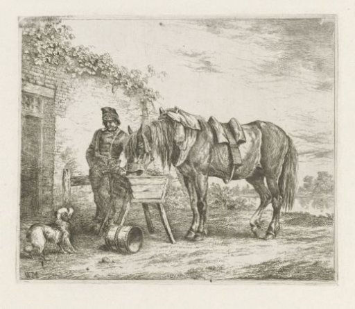 Horse at a Trough