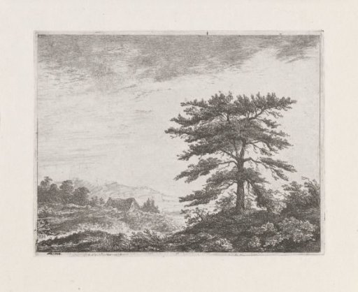 Tree in a Heath Landscape