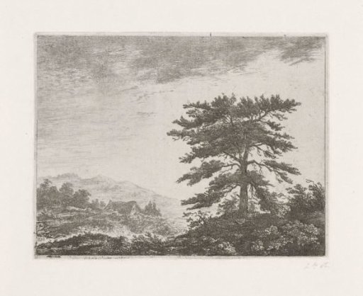 Tree in a Heath Landscape