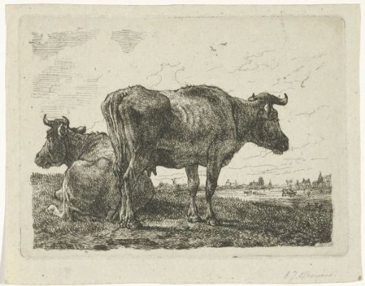 Two Cows