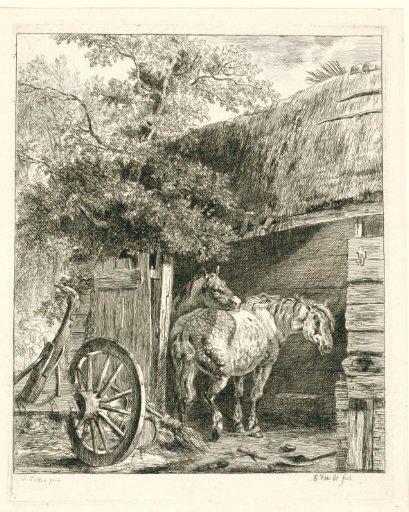 Two horses in a barn