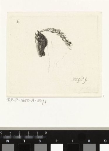 Horse head
