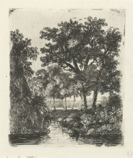 Wooded area with streams