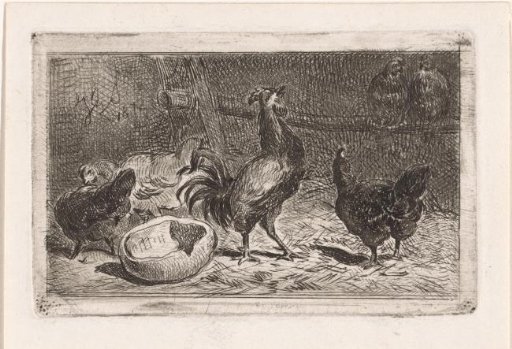 Crowing rooster with hens in a coop