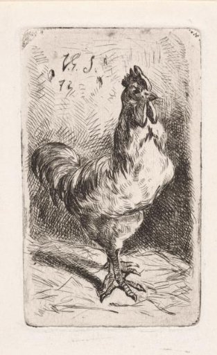 Rooster
