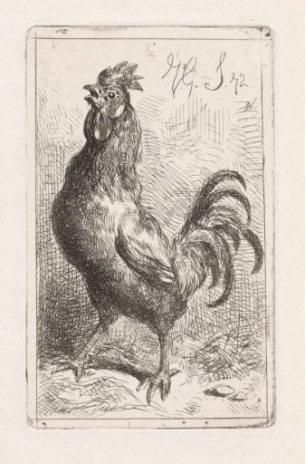 Crowing Rooster