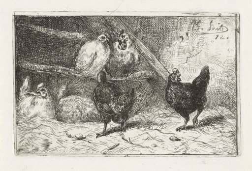 Rooster and five hens in a coop