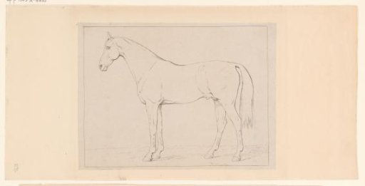 Standing horse