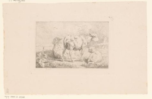 Three sheep in a meadow